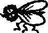 animals001.jpg