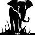 animals006.jpg
