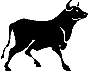 animals010.jpg